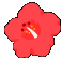ブランド